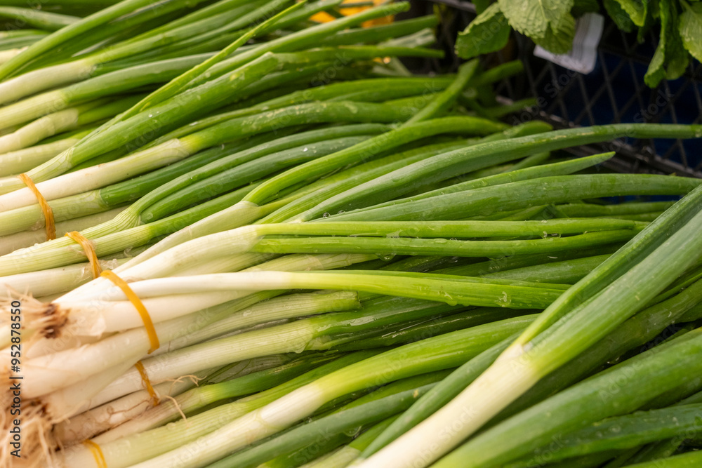 Fresh scallions on market stands Fresh scallions on market stands
