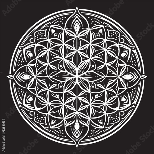 Vector of a mandala with mystical .eps