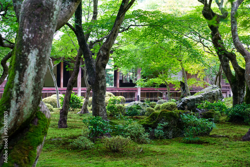 圓光寺の庭園風景