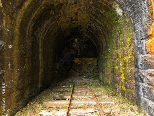 高知県馬路村　魚梁瀬森林鉄道　五味隧道 photo