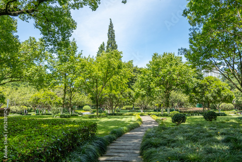 Background texture of a landscaped urban public park with a winding stone path leading through lush green lawns and mature trees, well-manicured hedges, and a variety of plant species. photo