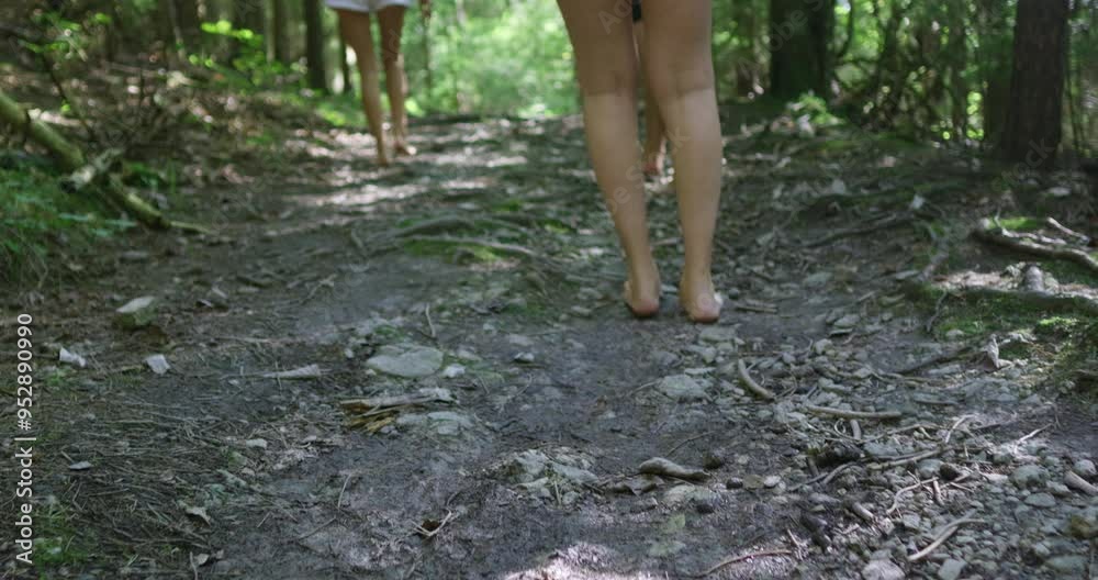 Barefoot in the forest. Healthy walking barefoot along a special path in the park. Barefoot in the forest. Healthy walking barefoot along a special path in the park.
