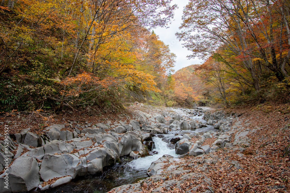 中津川渓谷_福島県（10月）