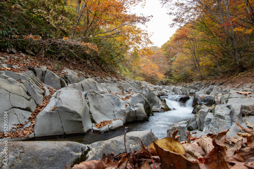 中津川渓谷_福島県（10月）