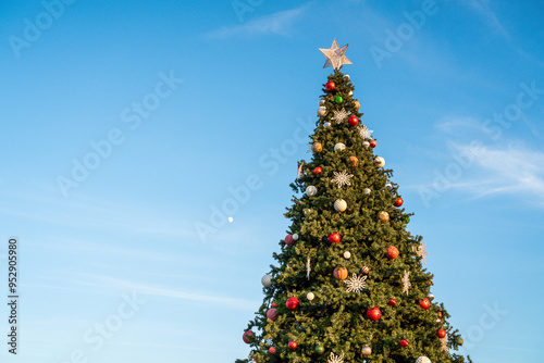 Large decorated christmas tree outdoors