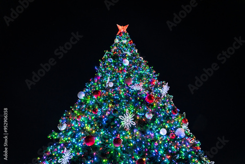 Large christmas tree on black