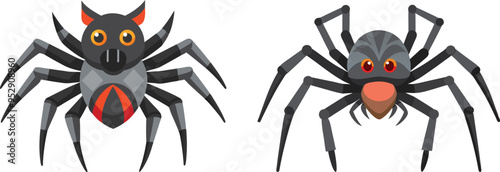 Spider Animal flat vector illustration on white background. 