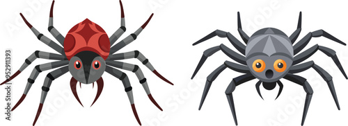 Spider Animal flat vector illustration on white background. 