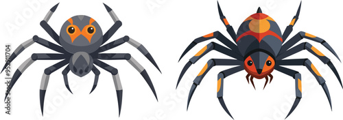 Spider Animal flat vector illustration on white background. 