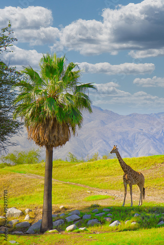 Exploring the Living Desert Zoo in Plam Desert, California