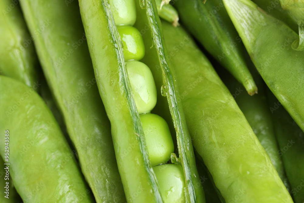 Many fresh green pods as background, closeup Many fresh green pods as background, closeup