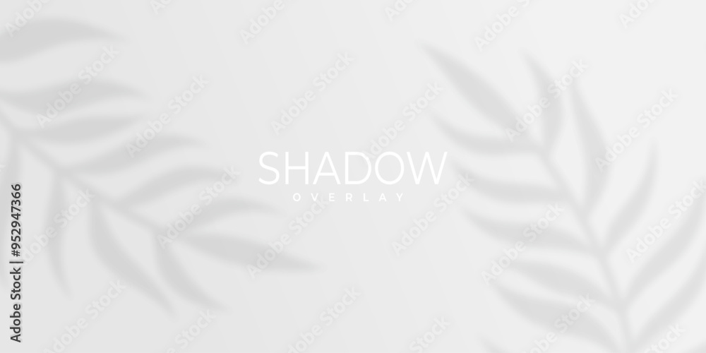 abstract modern leaf shadow overlay design on grey background abstract modern leaf shadow overlay design on grey background