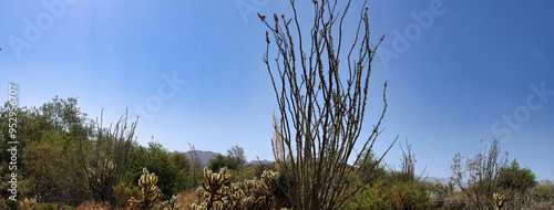 Landscapes in the Living Desert Zoo in Palm Desert California