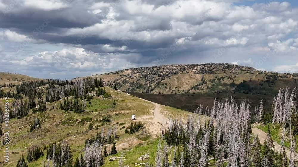 Aerial-Mountain ridge-Dark clouds-pulling back-Showing part of the thousands of acres of Engelmann spruce trees killed by bark boring spruce beetles in the Manti-LaSal National Forest in Utah. Aerial-Mountain ridge-Dark clouds-pulling back-Showing part of the thousands of acres of Engelmann spruce trees killed by bark boring spruce beetles in the Manti-LaSal National Forest in Utah.