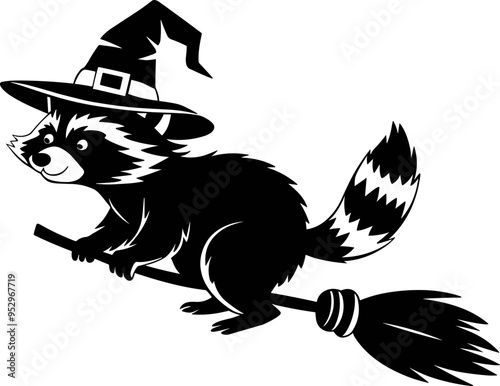 Raccoon on Broomstick