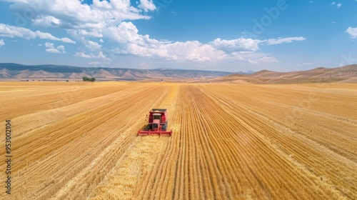 Aerial view of modern agricultural machinery working in a vast wheat field during harvest season