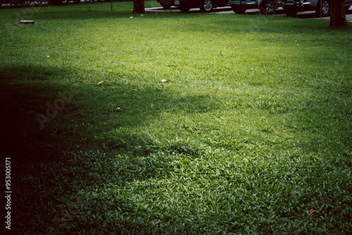 A large, empty field of grass with a few trees in the background. The grass is very green and the sky is clear