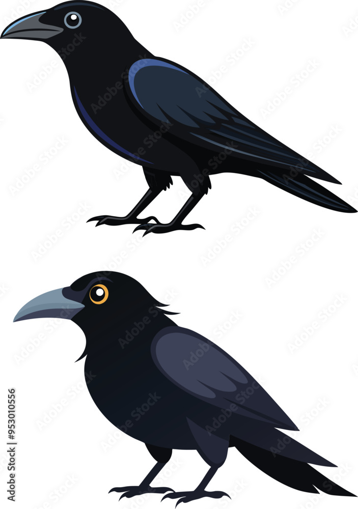 crow illustration on white crow illustration on white