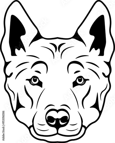 Czechoslovakian Wolfdog Czechoslovakian Vlcak