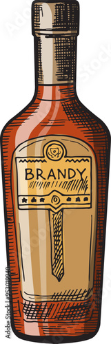 Brandy bottle engraving. Dark flavor alcohol drink