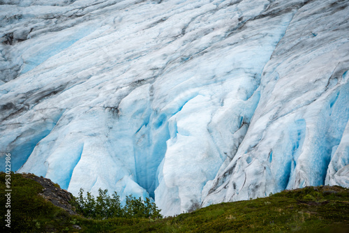 harding icefield in alaksa
