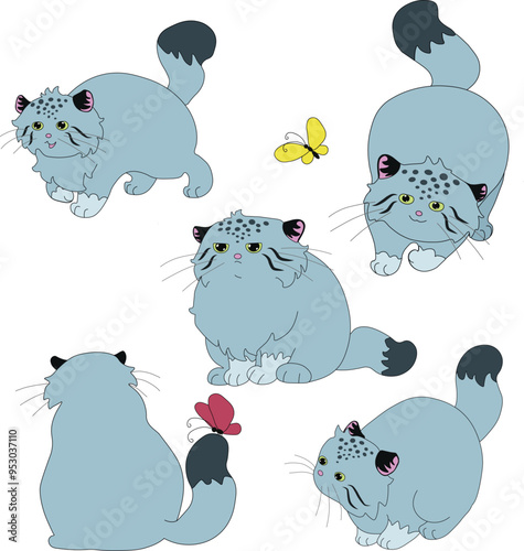 cute fluffy manul cat set
