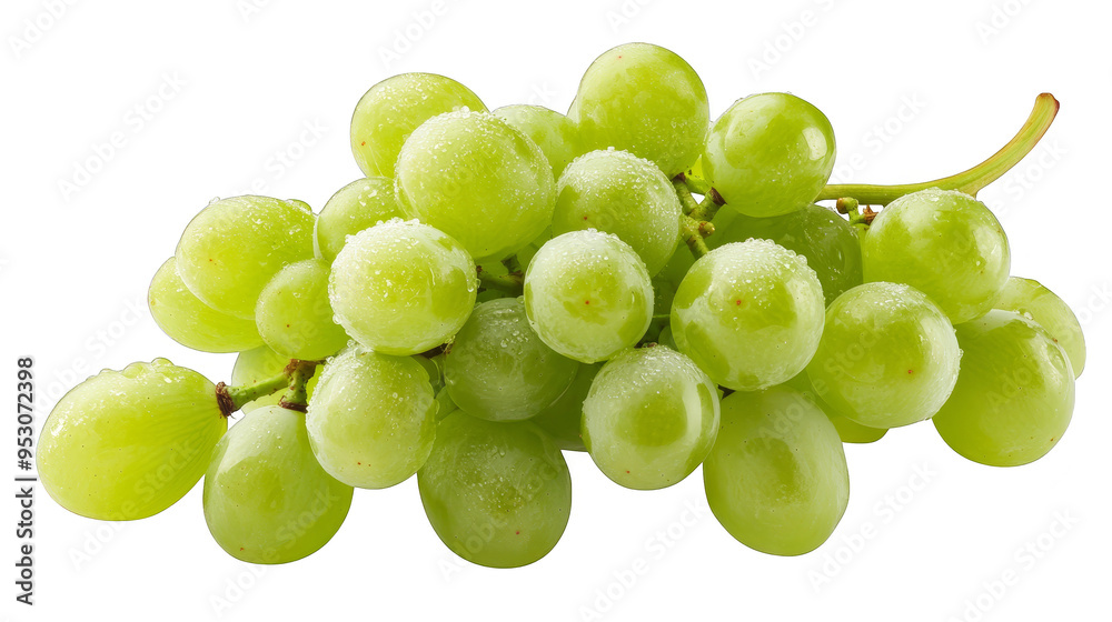 Fresh Green Grapes with Dew Drops Close Up Fresh Green Grapes with Dew Drops Close Up
