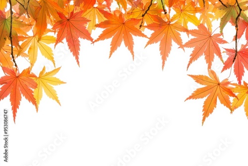 Autumn Maple Leaves Flat Lay White Background created with Generative AI