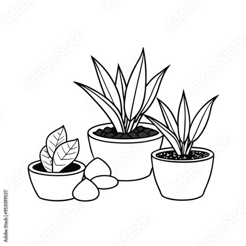 Vector line art 3D-rendered house plants in ceramic pots, isolated on white background. photo