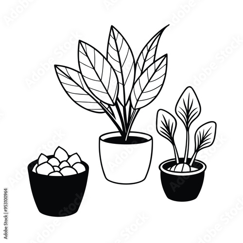 Vector line art 3D-rendered house plants in ceramic pots, isolated on white background. photo