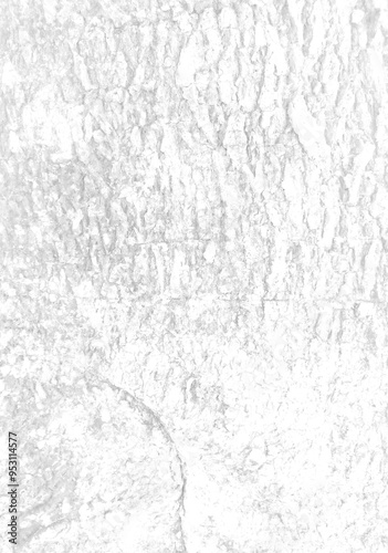White rough bark texture in retro concept.