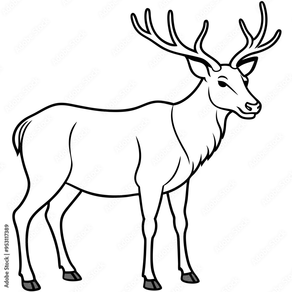 Fototapeta premium Elk