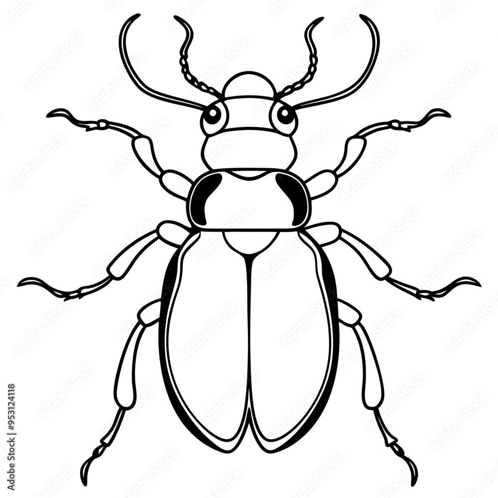 Collection of high detailed insects sketches. Hand drawn beetles illustrations in vintage style. Entomological drawings set. Beetles outlines for monogram, banner, poster, tattoo, cards design. Collection of high detailed insects sketches. Hand drawn beetles illustrations in vintage style. Entomological drawings set. Beetles outlines for monogram, banner, poster, tattoo, cards design.