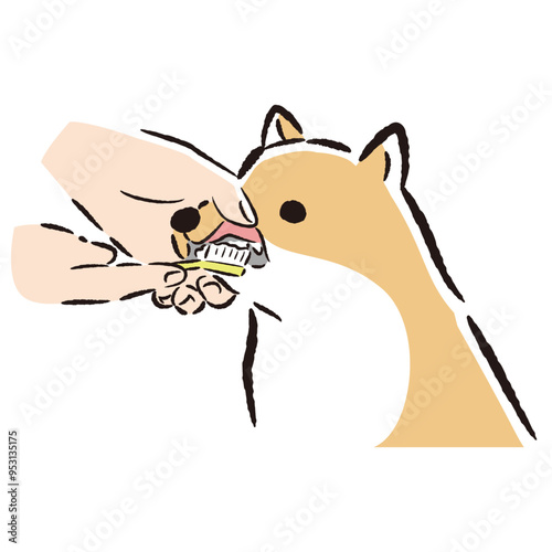 犬の歯みがきの手描きイラスト