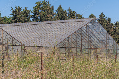 disused, abandoned, old glass agricultural greenhouse,