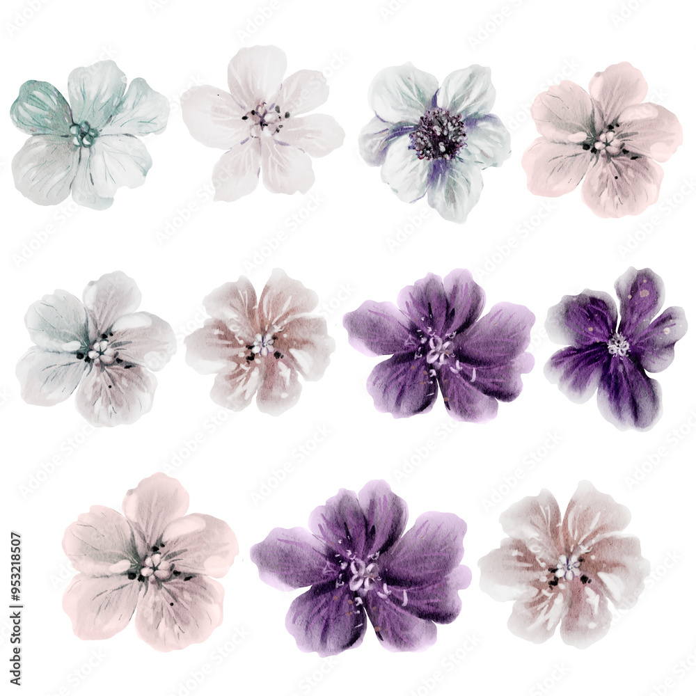 Watercolor flower set with flowers. Watercolor flower set with flowers.