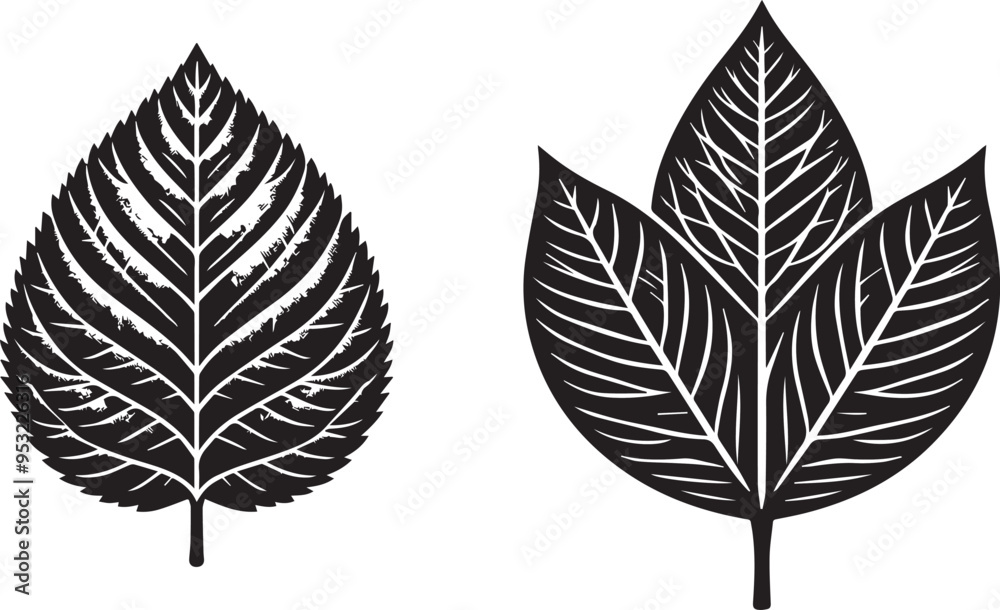 Obraz premium Leaf vector on white background