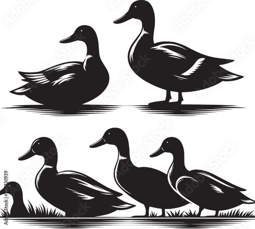Duck Silhouette isolated on white background Minimalist duck vector illustration