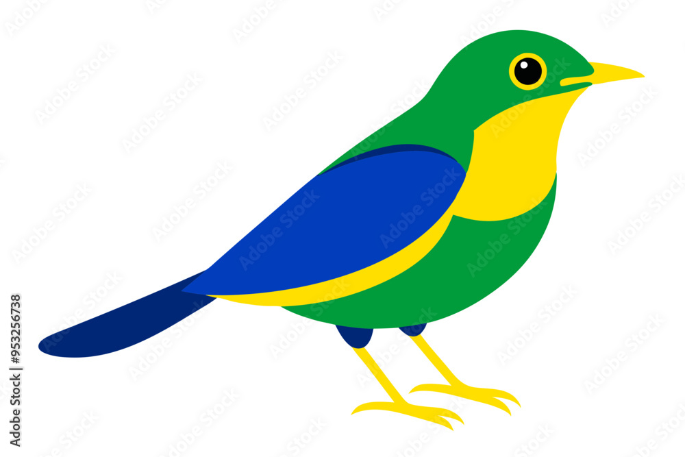 Obraz premium rufous bellied thrush