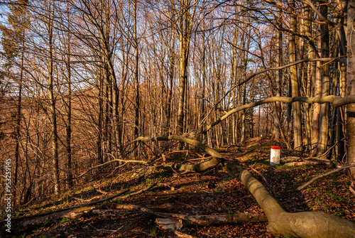 Dolina Popradu, Popradzki Park Krajobrazowy, wiosna