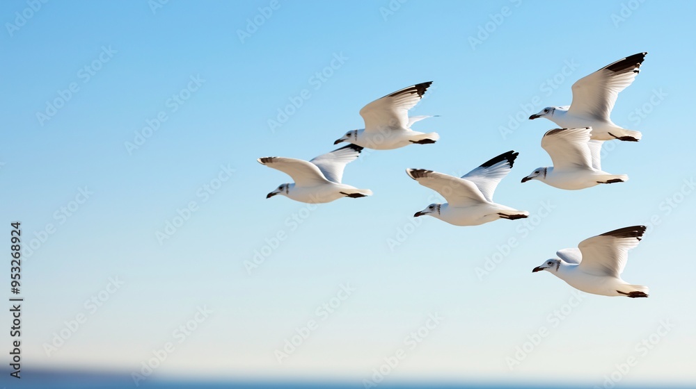 Obraz premium Soaring Symphony: A Flock of Seagulls in Flight 