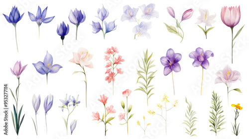 Set of watercolor wildflowers painting isolated on clear png background and transparent background. Fresh and nature concept for nature decorative and flower element, AI generative.	
