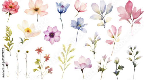 Set of watercolor wildflowers painting isolated on clear png background and transparent background. Fresh and nature concept for nature decorative and flower element, AI generative. 