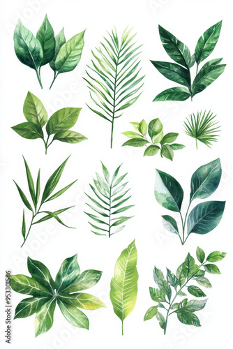 Green Leaf Arrangement, A watercolor illustration showcasing a variety of green leaves artistically arranged on a clean white background for a fresh, natural look