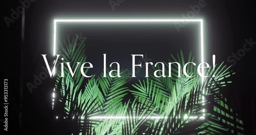 Vive la France! text animation over glowing neon frame and green palm leaves photo