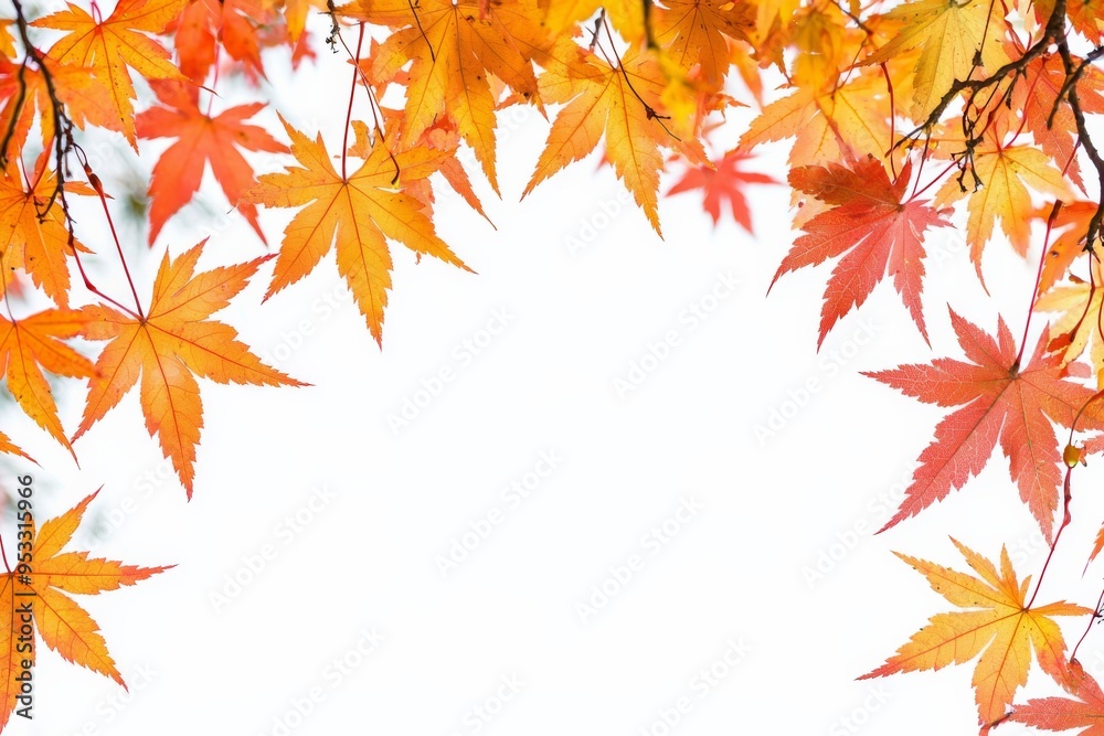 Autumn Maple Leaves Flat Lay White Background created with Generative AI Autumn Maple Leaves Flat Lay White Background created with Generative AI