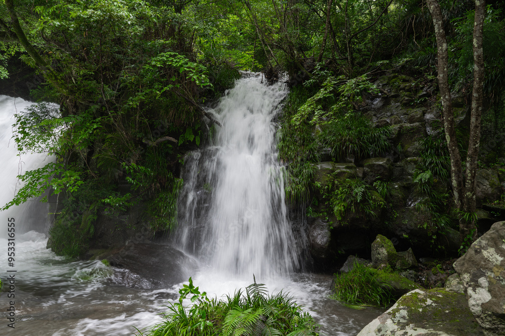 Fototapeta premium 河津七滝の滝
