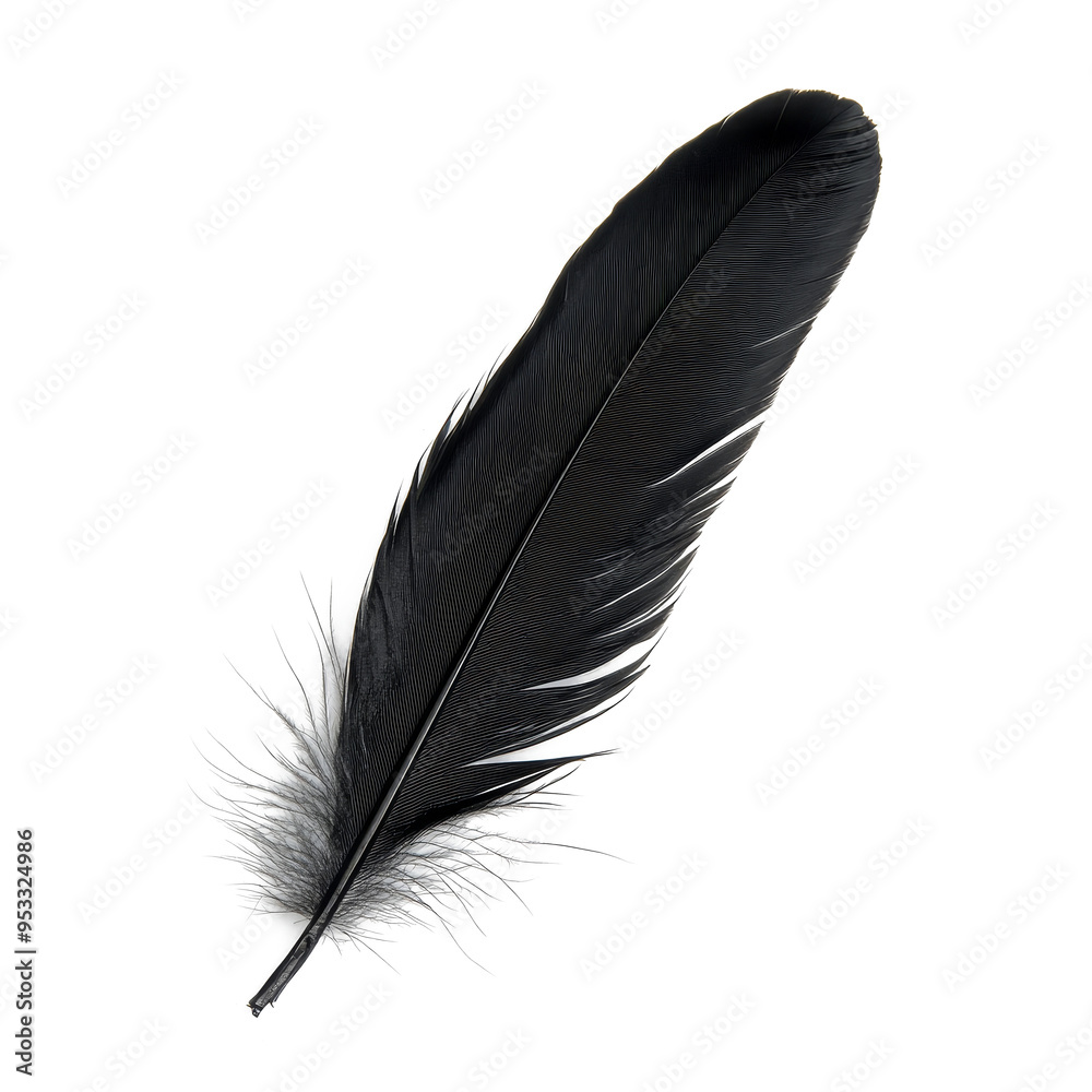 The black feather contrasts beautifully against a pure transparent background, showcasing its intricate details and structure, black feather on transparent background The black feather contrasts beautifully against a pure transparent background, showcasing its intricate details and structure, black feather on transparent background