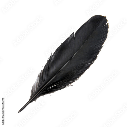 The black feather is isolated against a transparent background, showcasing its elegant shape and intricate fiber patterns, black feather on transparent background