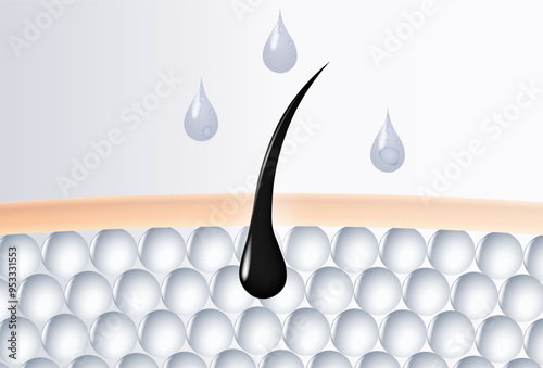 illustration of an advertisement for shampoo that makes hair fresher and eliminates dandruff